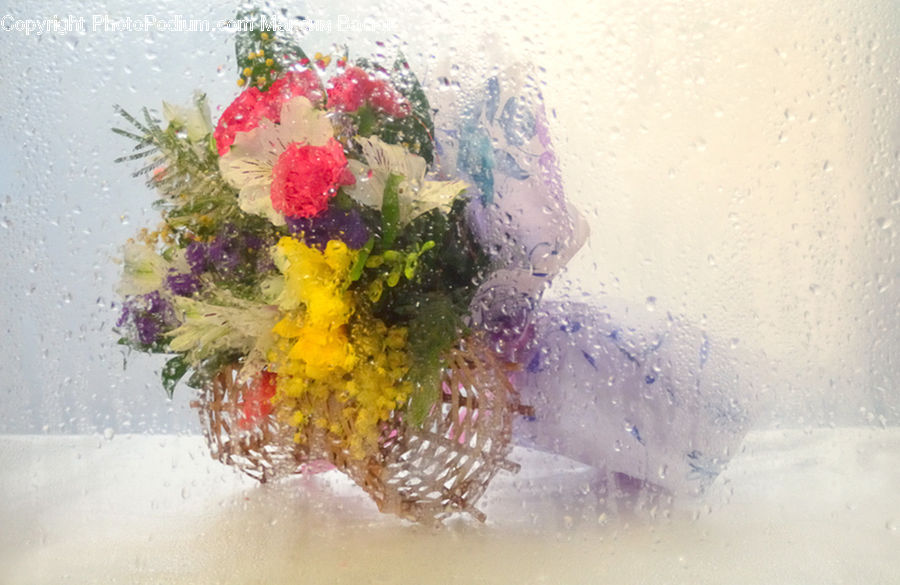 Seaweed, Flower, Flower Arrangement, Flower Bouquet, Blossom, Lilac, Plant