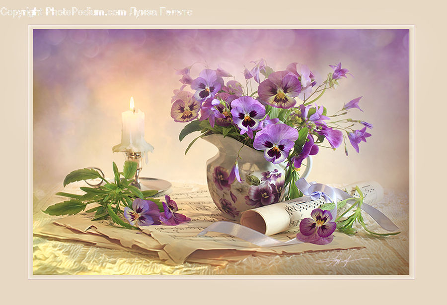 Blossom, Flower, Lilac, Plant, Floral Design, Flower Arrangement, Ikebana