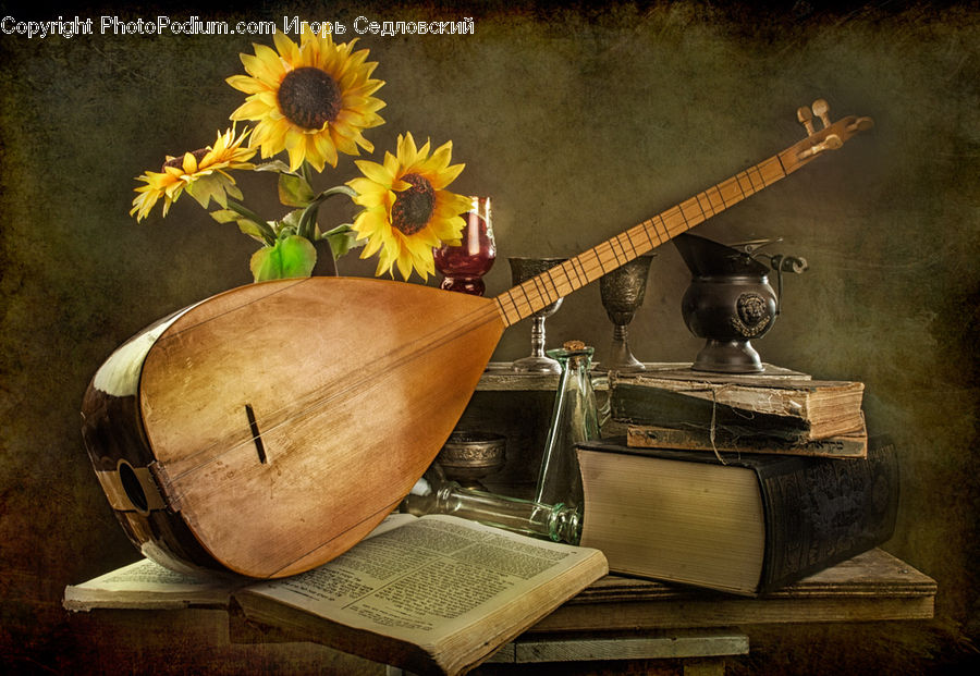 Lute, Musical Instrument, Blossom, Flora, Flower, Plant, Sunflower