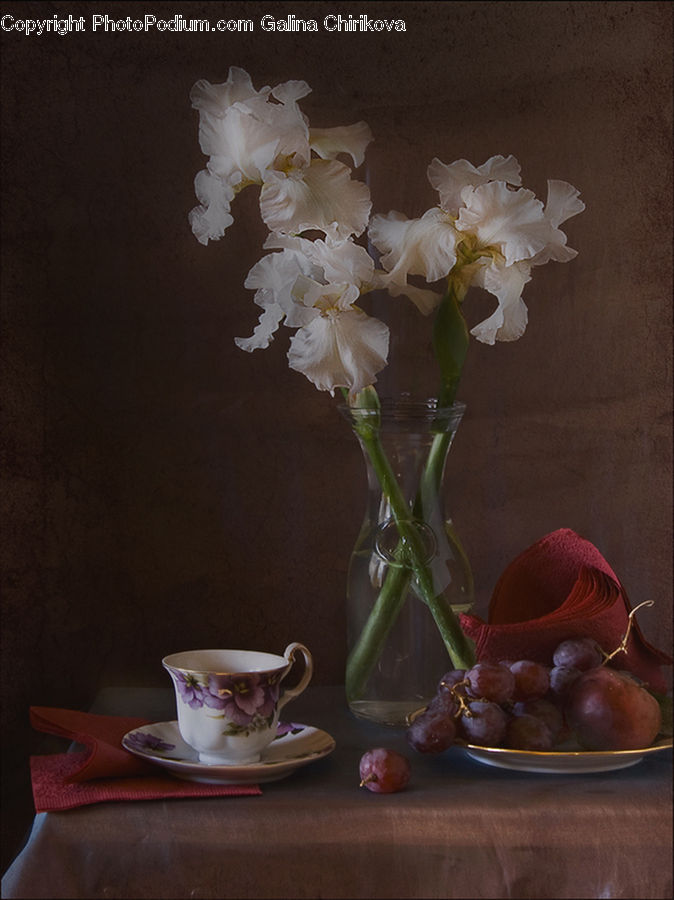 Flora, Flower, Gladiolus, Plant, Glass, Goblet, Potted Plant
