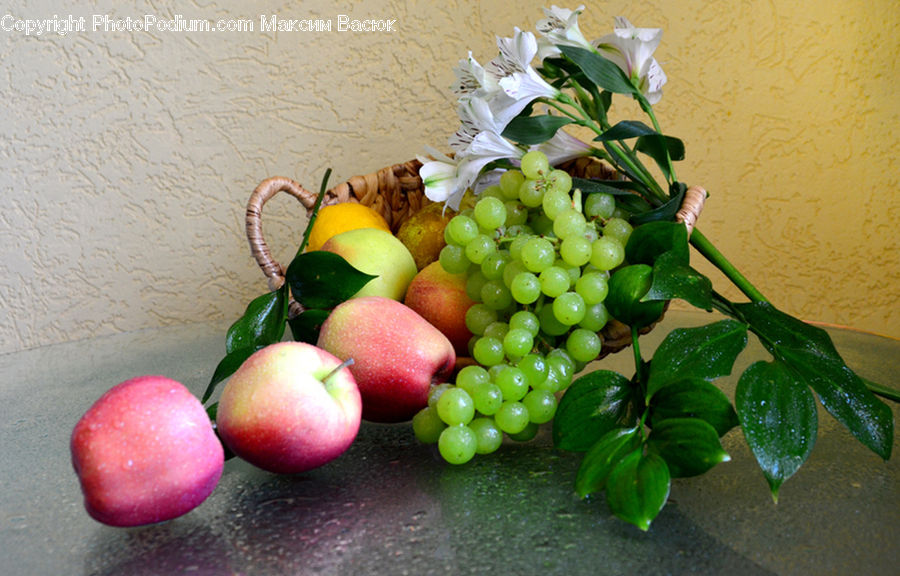 Fruit, Grapes, Plant, Potted Plant, Flower, Flower Arrangement, Flower Bouquet