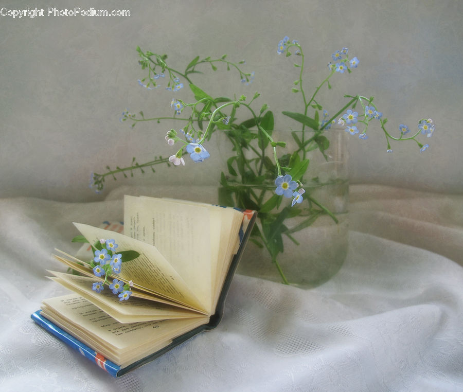 Flower Arrangement, Ikebana, Plant, Potted Plant, Vase, Gift, Paper