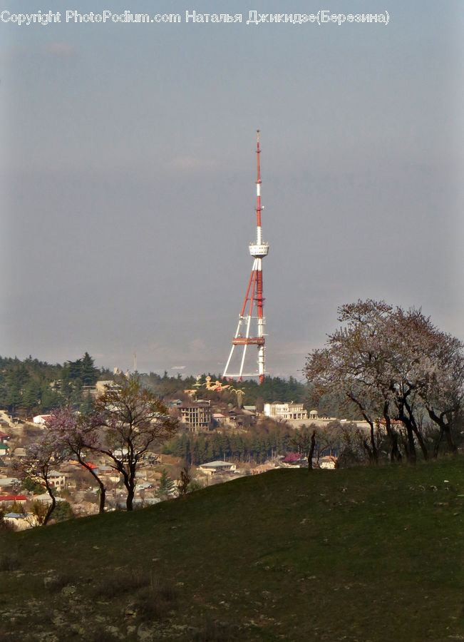 Blossom, Flora, Flower, Plant, Beacon, Building, Lighthouse