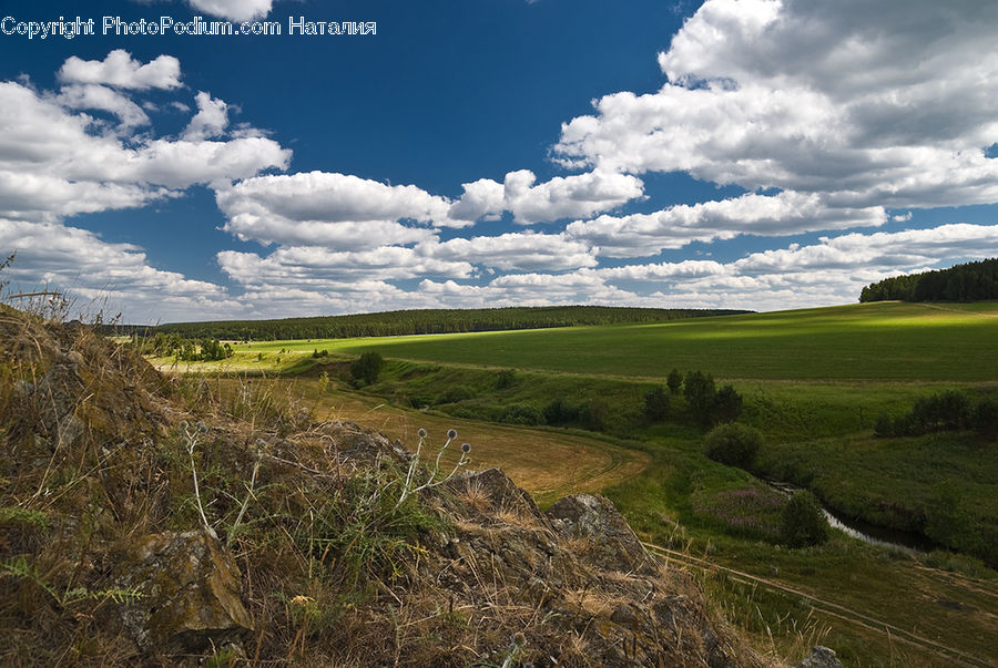 Field, Grass, Grassland, Land, Outdoors, Cloud, Cumulus