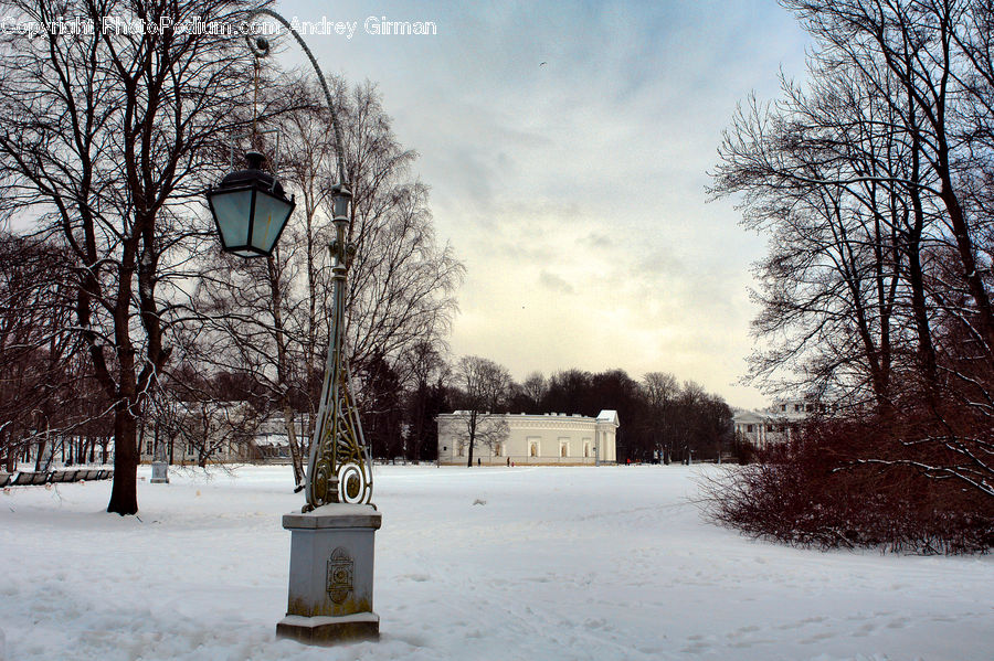 Landscape, Nature, Scenery, Campus