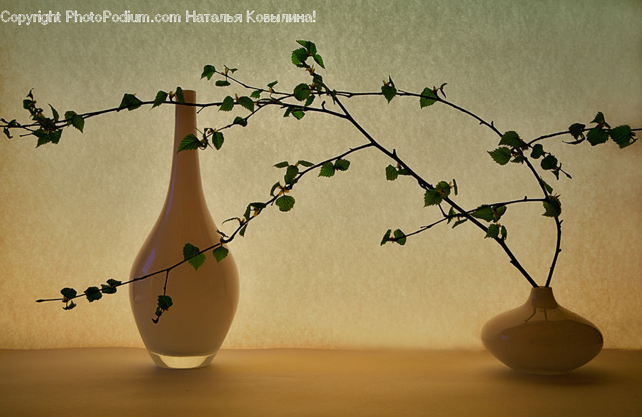 Flower Arrangement, Ikebana, Plant, Potted Plant, Vase, Jar, Porcelain
