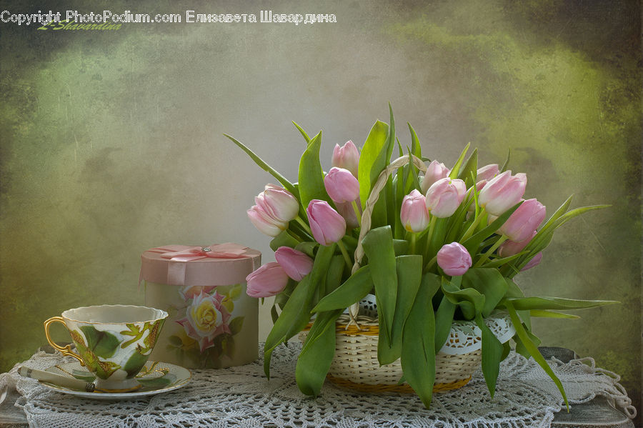 Cup, Porcelain, Saucer, Floral Design, Flower, Flower Arrangement, Flower Bouquet
