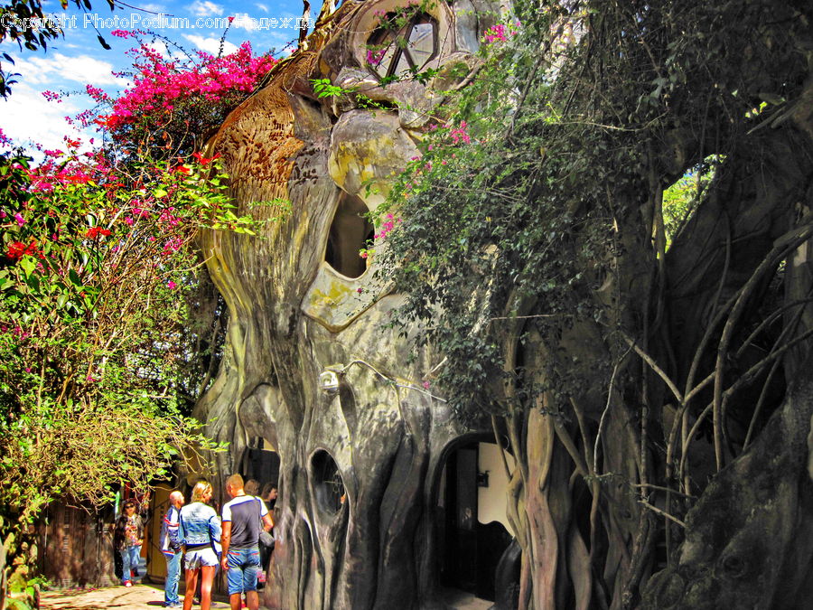 People, Person, Human, Tunnel, Ivy, Plant, Vine