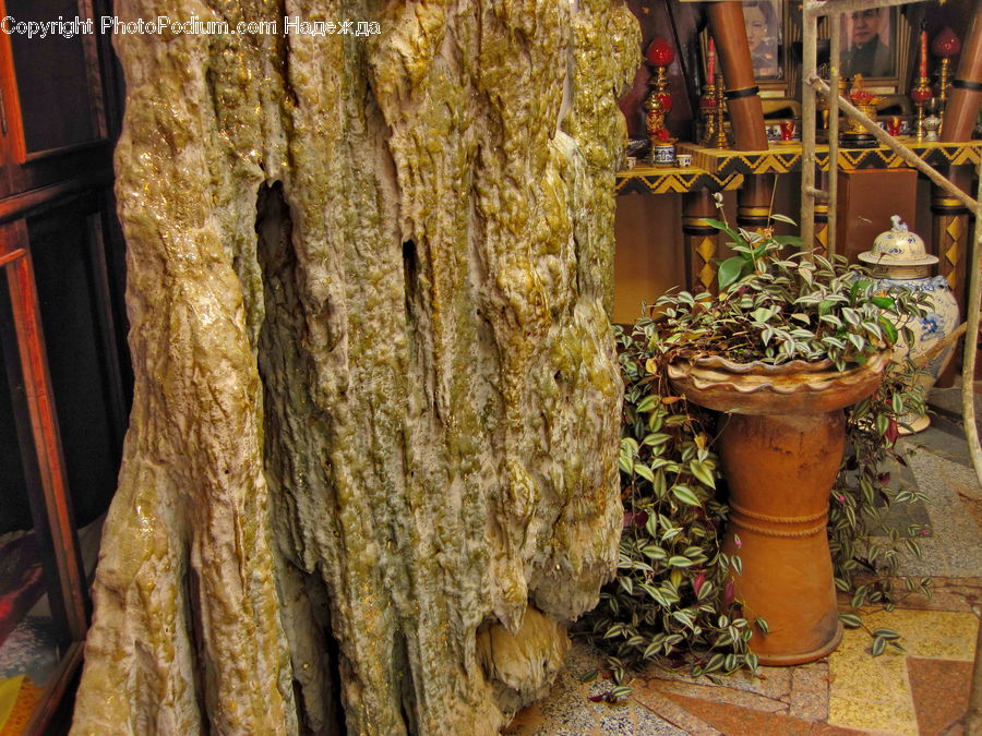 Plant, Potted Plant, Pot, Pottery, Architecture, Shrine, Temple