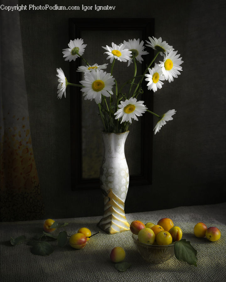 Daisies, Daisy, Flower, Plant, Glass, Goblet, Aster