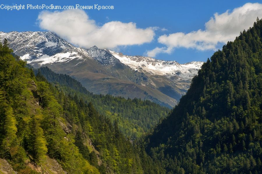 Crest, Mountain, Outdoors, Peak, Mountain Range, Conifer, Fir