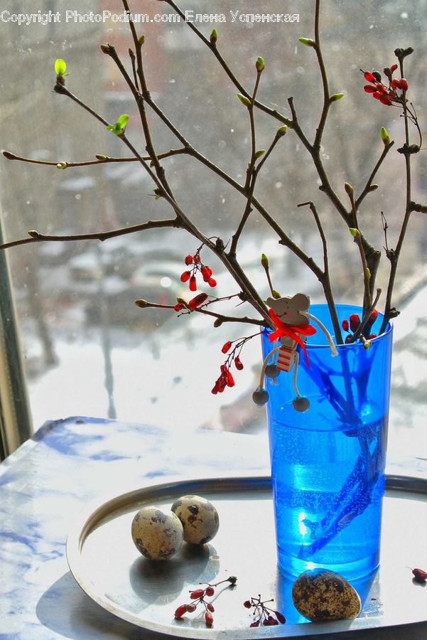 Plant, Potted Plant, Beverage, Drink, Cup, Jar, Flower Arrangement
