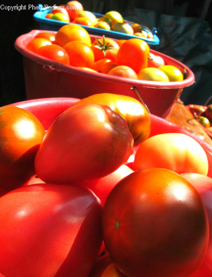 Bowl, Produce, Tomato, Vegetable, Bell Pepper, Pepper, Market