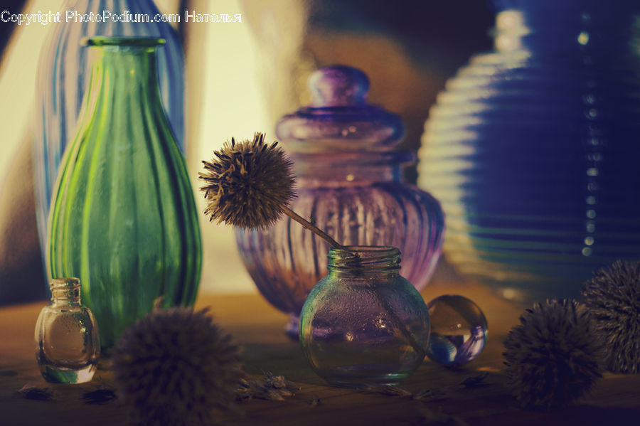 Jar, Porcelain, Vase, Bottle, Glass, Goblet, Flora