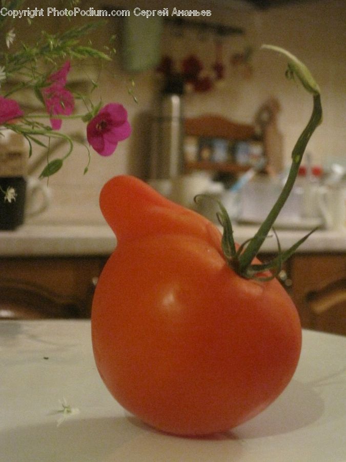 Plant, Potted Plant, Bell Pepper, Pepper, Produce, Vegetable, Home Decor