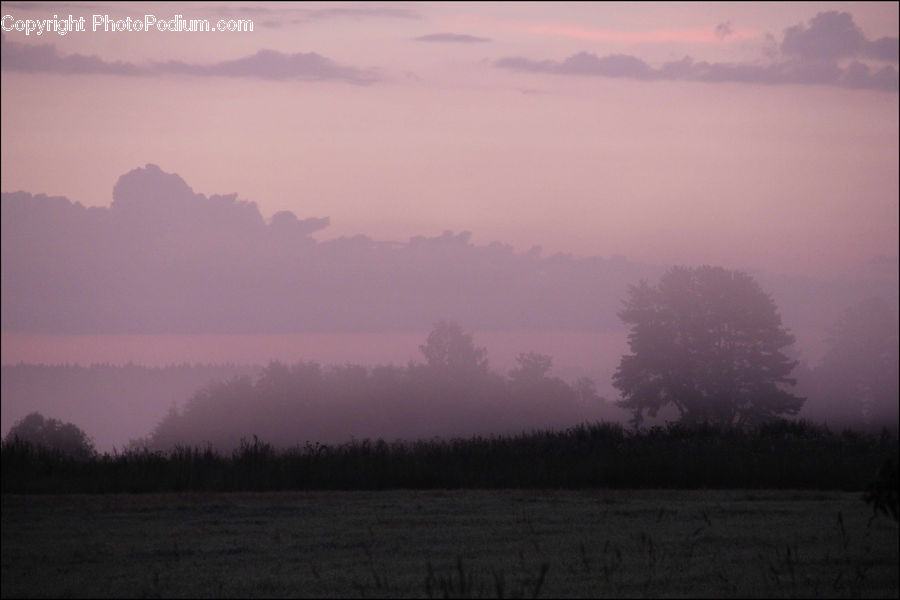 Fog, Dawn, Dusk, Sky, Sunrise, Sunset, Mist