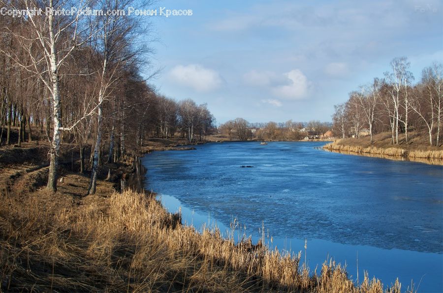 Lake, Outdoors, Water, Birch, Tree, Wood, Landscape