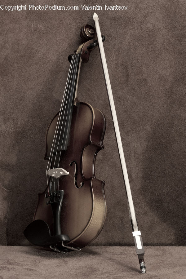 Musical Instrument, Viola