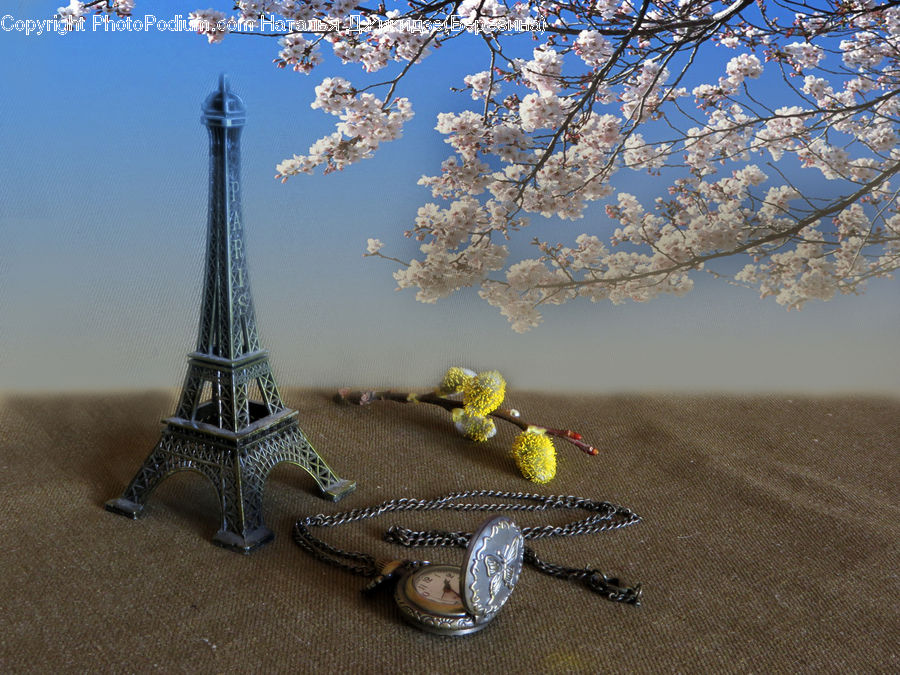 Architecture, Tower, Motor Scooter, Motorcycle, Vehicle, Vespa, Blossom