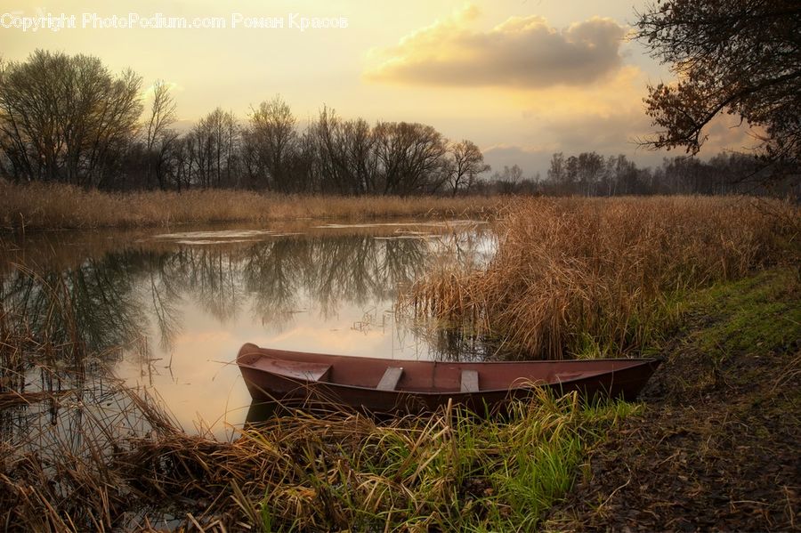 Boat, Canoe, Rowboat, Vessel, Dinghy, Field, Grass