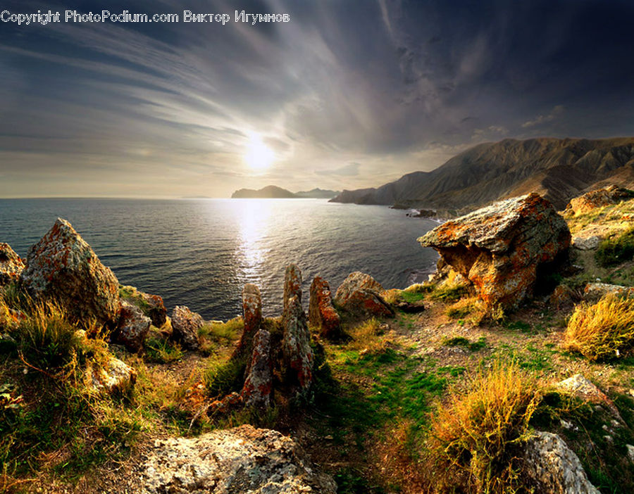 Rock, Tree Stump, Moss, Plant, Coast, Outdoors, Sea