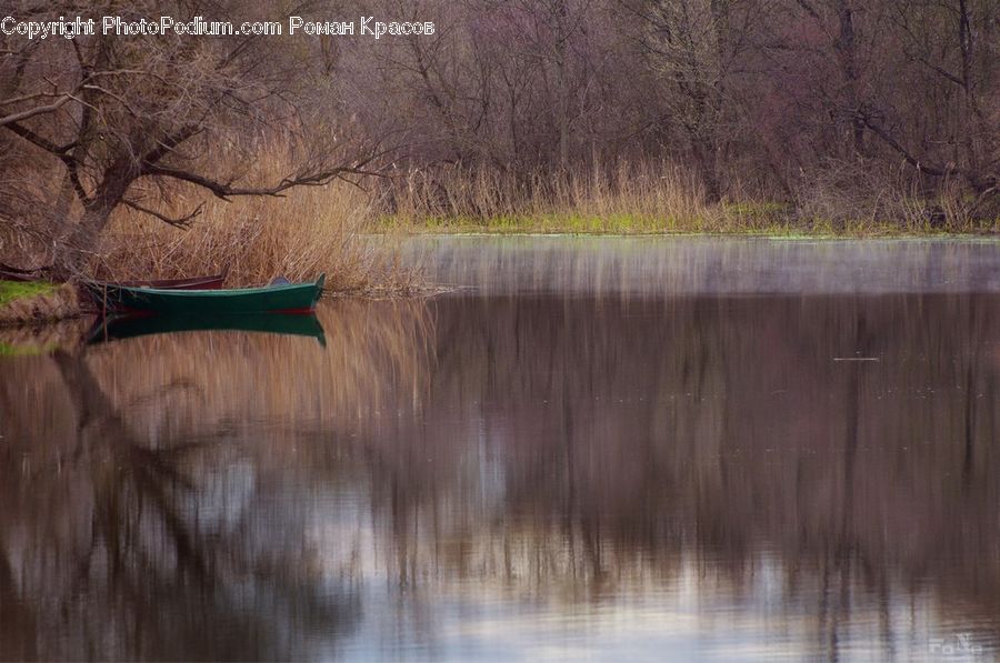 Boat, Canoe, Rowboat, Land, Marsh, Outdoors, Swamp