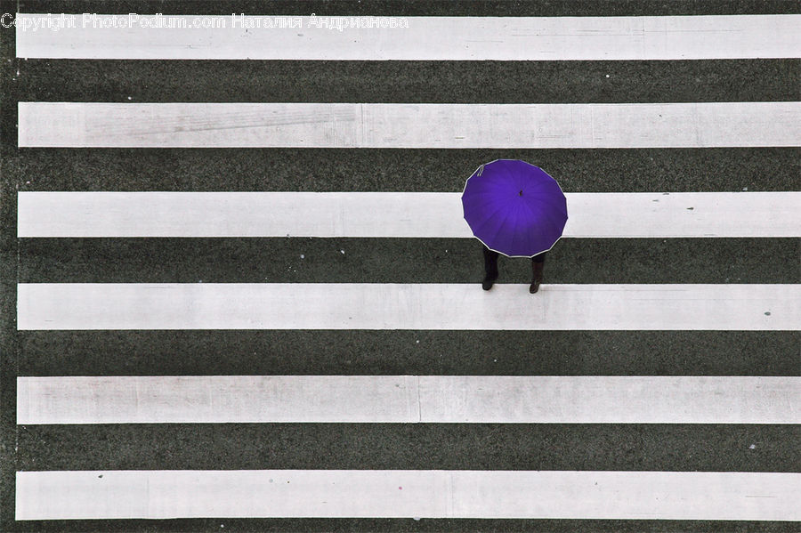 Umbrella, Asphalt, Road, Zebra Crossing, Pedestrian, Person
