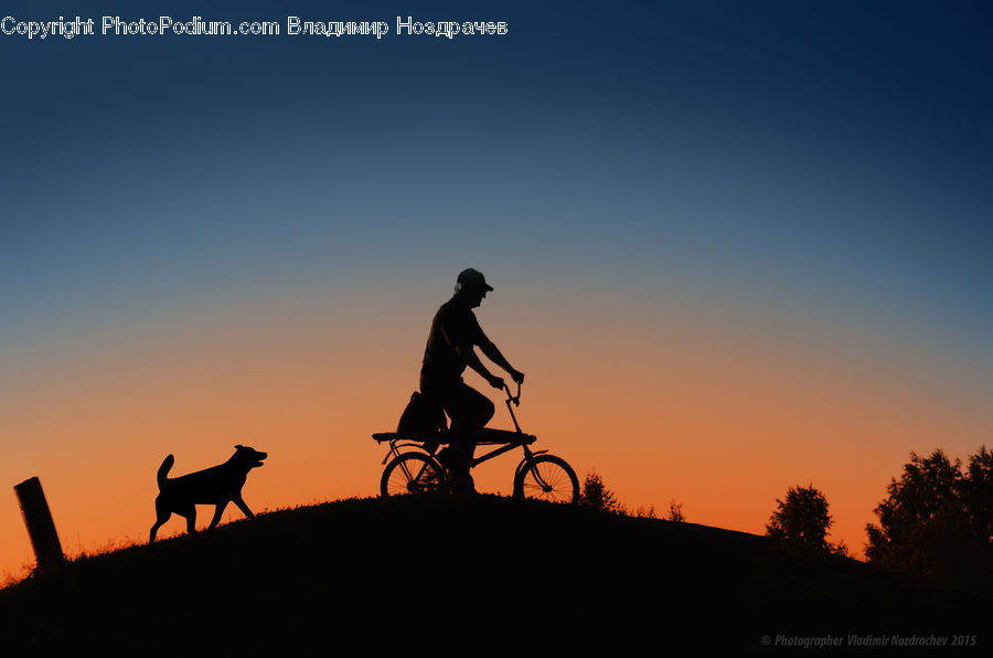People, Person, Human, Silhouette, Bicycle, Bike, Bmx