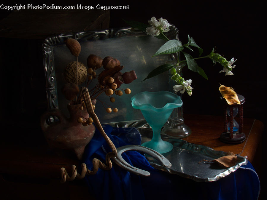 Glass, Goblet, Acorn, Plant, Seed, Acanthaceae, Annonaceae
