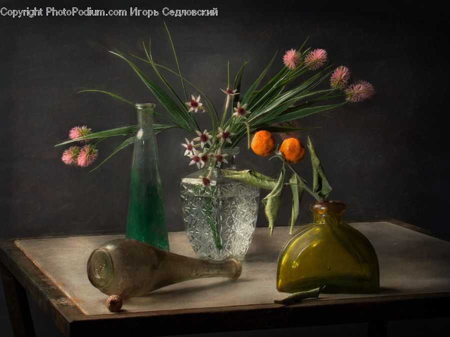 Plant, Potted Plant, Bottle, Jar, Porcelain, Vase, Glass