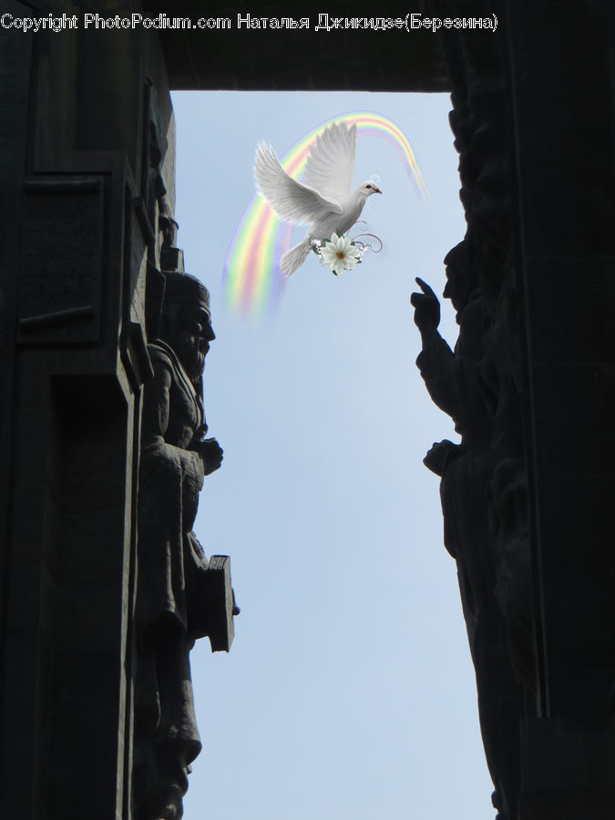 Art, Gargoyle, Statue, Bird, Seagull, Dove, Pigeon