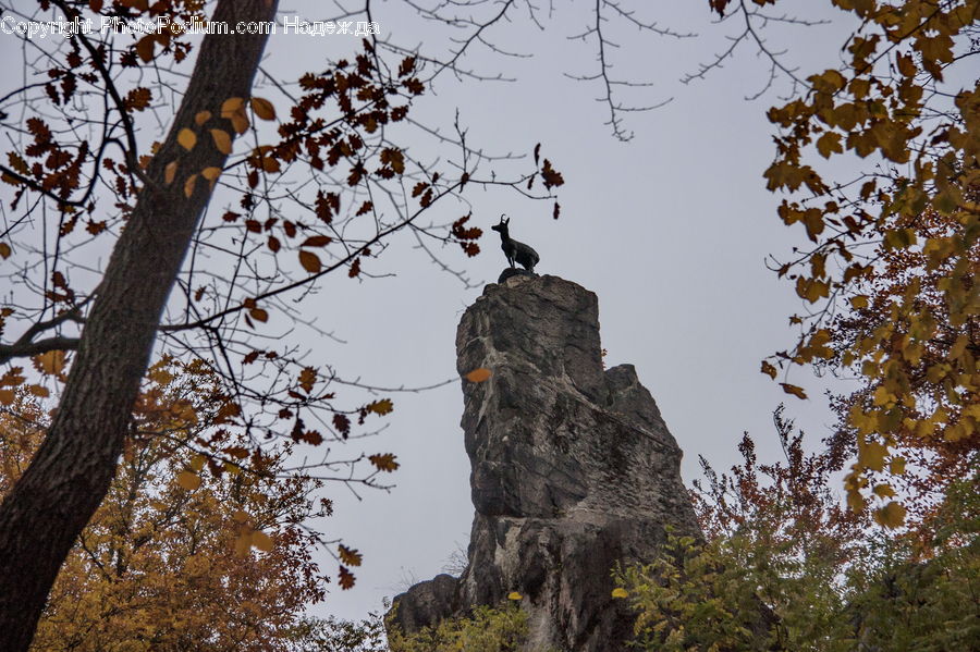 Cliff, Outdoors, Bald Eagle, Bird, Eagle, Architecture, Bell Tower