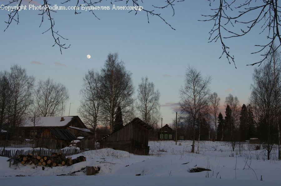 Cabin, Hut, Rural, Shack, Shelter, Landscape, Nature