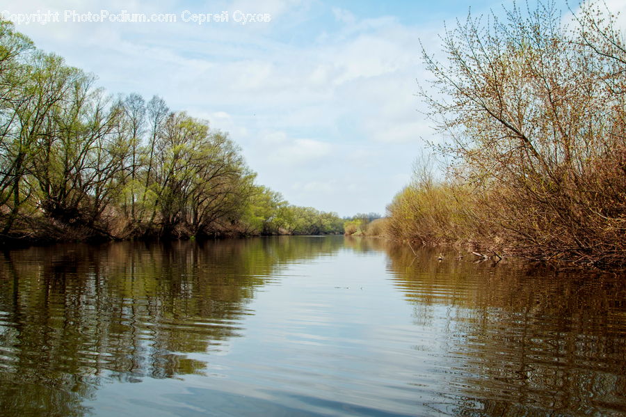 Canal, Outdoors, River, Water, Land, Marsh, Swamp