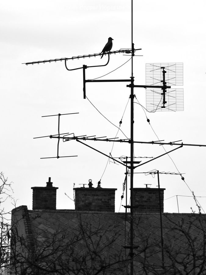 Antenna, Wire