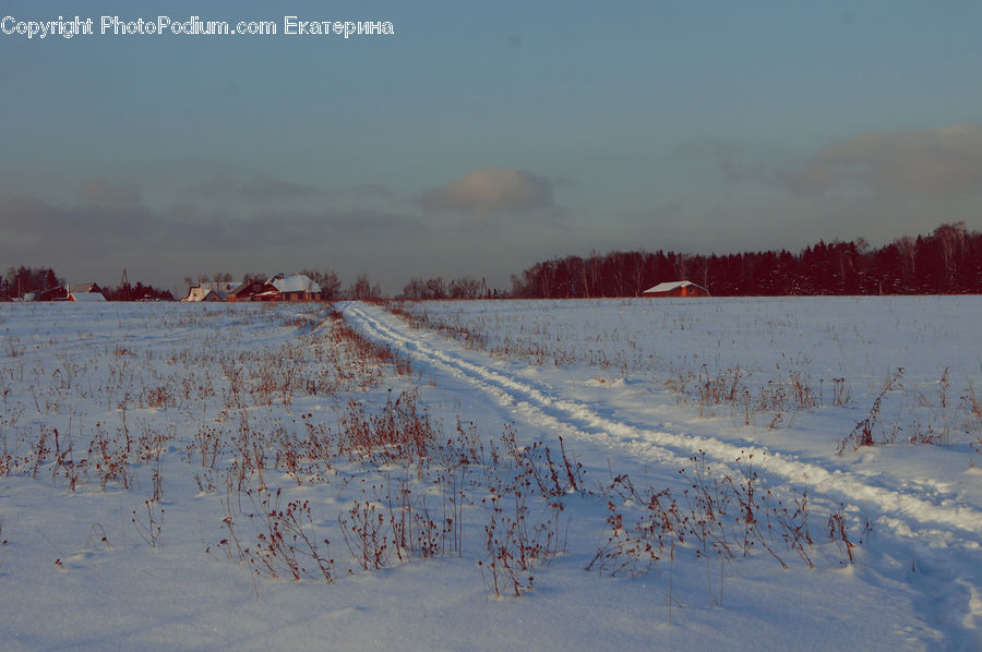 Landscape, Nature, Scenery, Countryside, Field, Rural, Grass