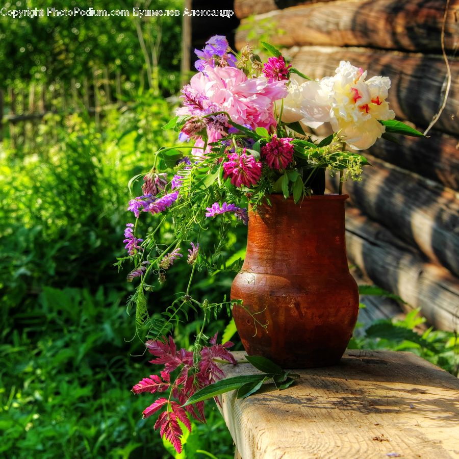 Plant, Potted Plant, Pot, Pottery, Herbal, Herbs, Planter