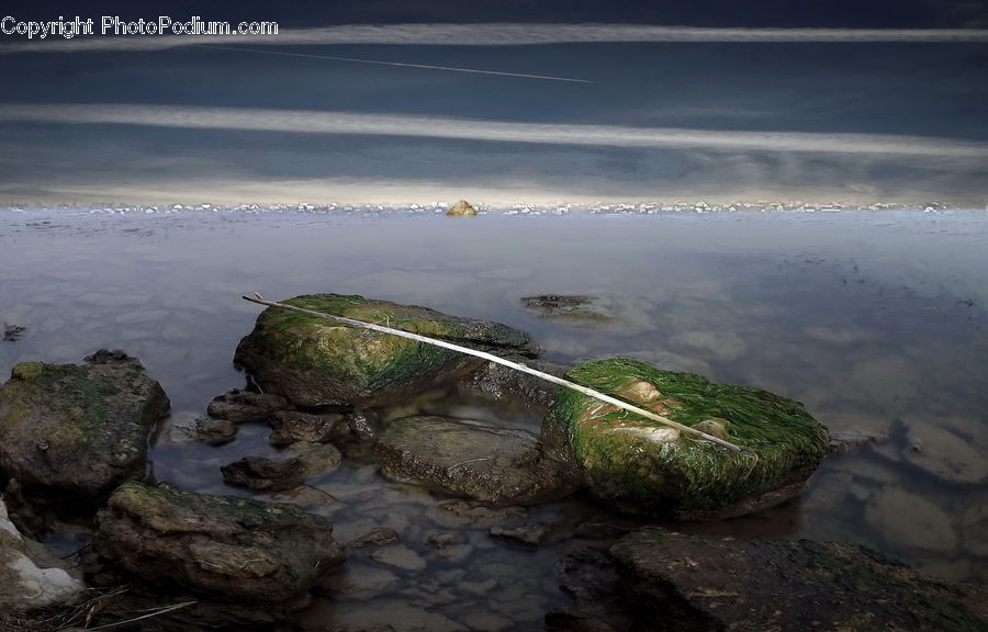 Rock, Arecaceae, Coconut, Coast, Cove, Outdoors, Sea