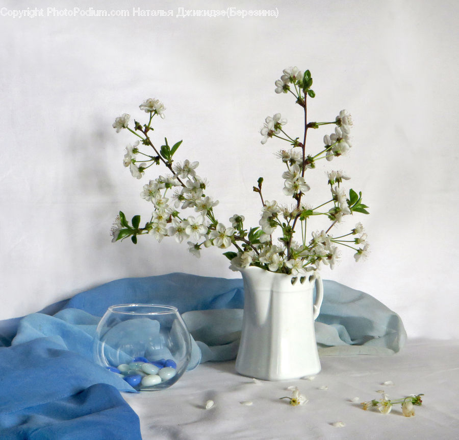 Plant, Potted Plant, Glass, Floral Design, Flower, Flower Arrangement, Flower Bouquet