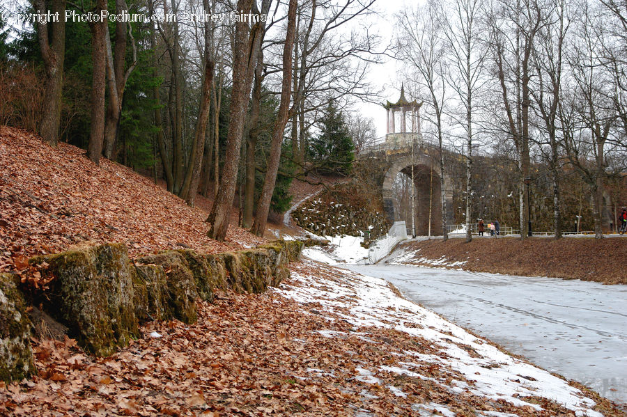 Dirt Road, Gravel, Road, Grassland, Mound, Path, Walkway