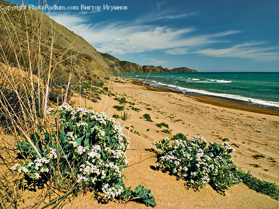 Beach, Coast, Outdoors, Sea, Water, Sand, Soil