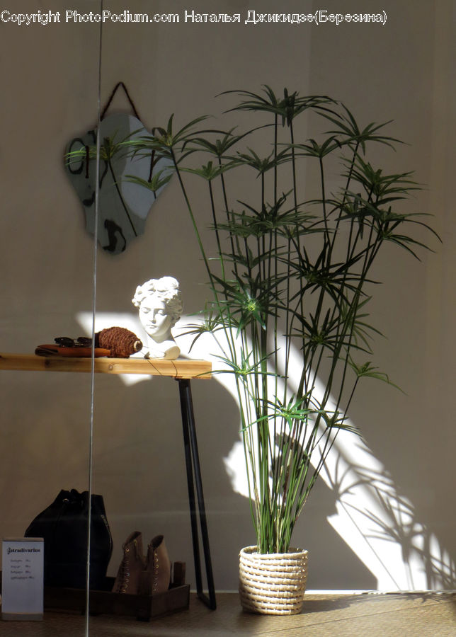 Flower Arrangement, Ikebana, Plant, Potted Plant, Vase, Paper, Bust