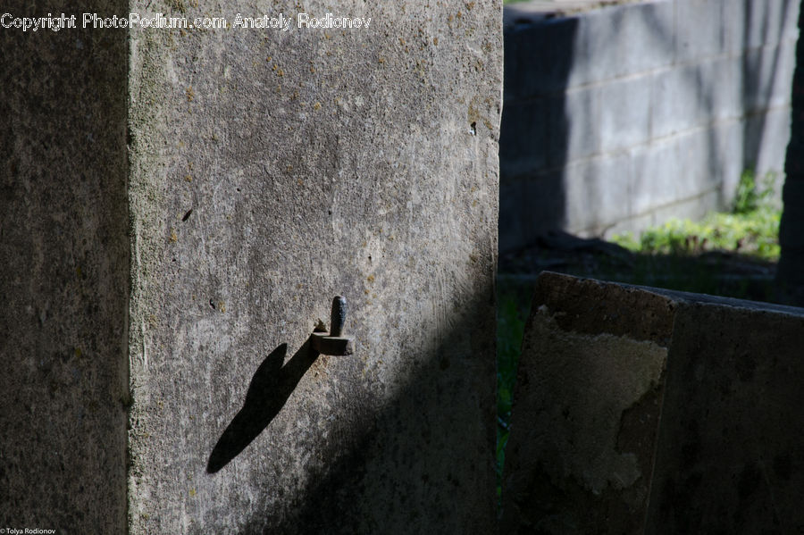 Bunker, Bird, Blackbird, Crow, Soil, Crypt