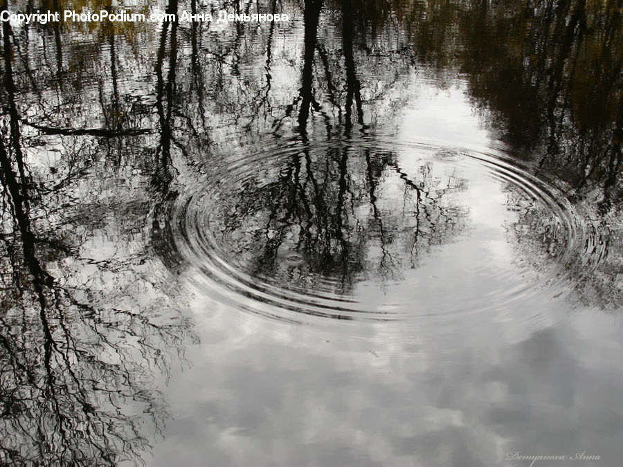 Outdoors, Ripple, Water, Forest, Vegetation, Jungle