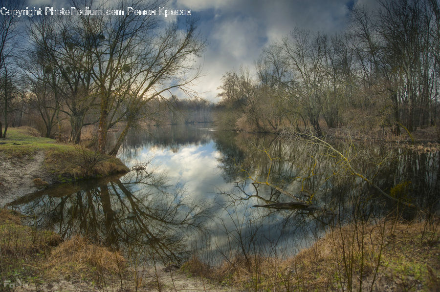 Land, Marsh, Pond, Swamp, Water, Outdoors, Field