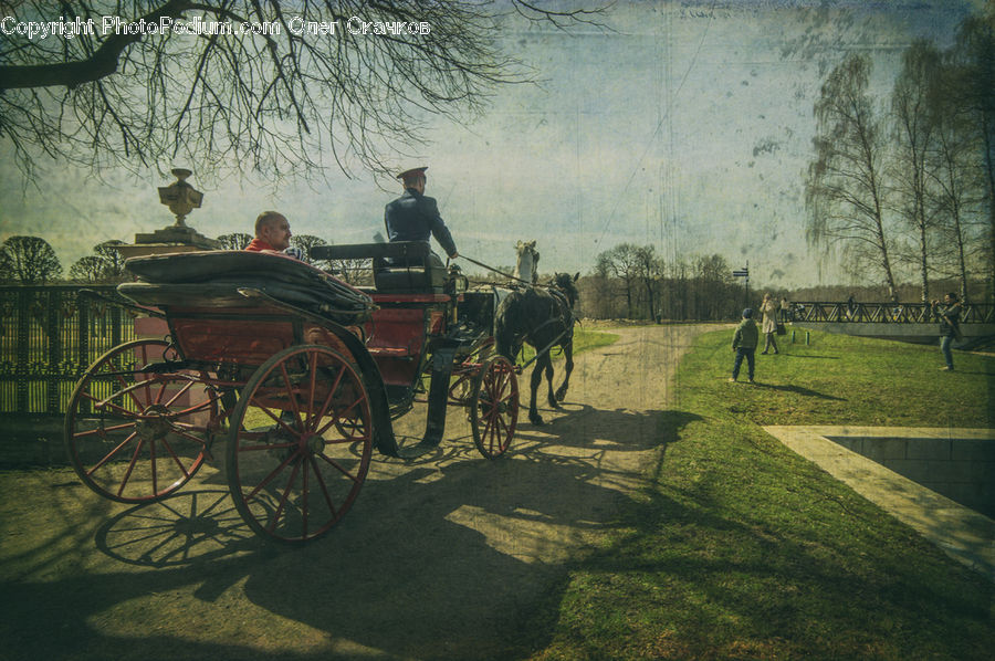 Carriage, Horse Cart, Vehicle, Buggy, Wagon, Antique Car, Car