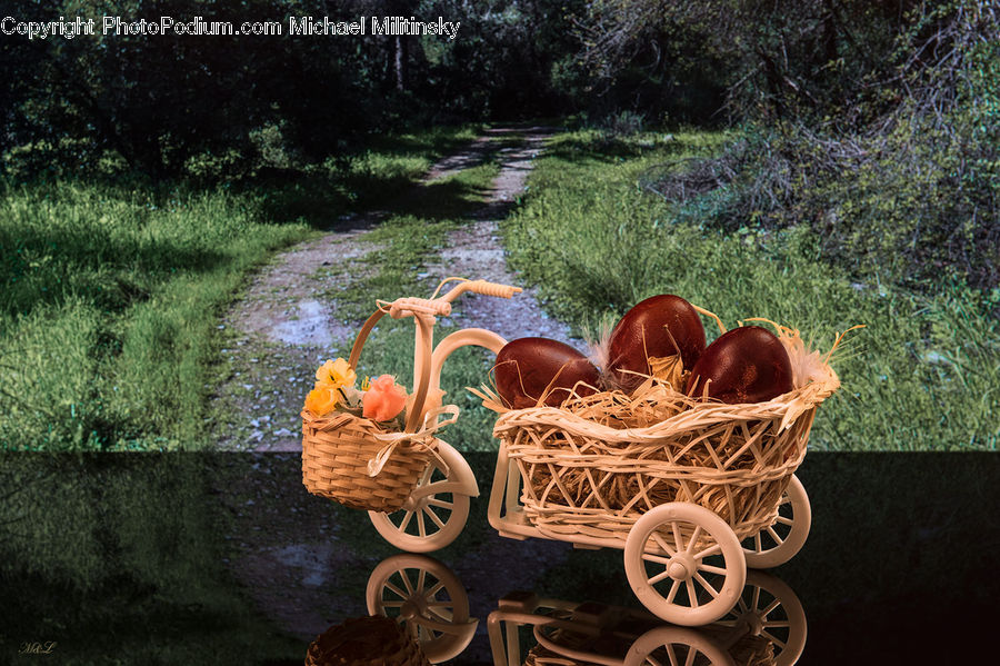 Carriage, Horse Cart, Vehicle, Basket, Plywood, Wood, Plant