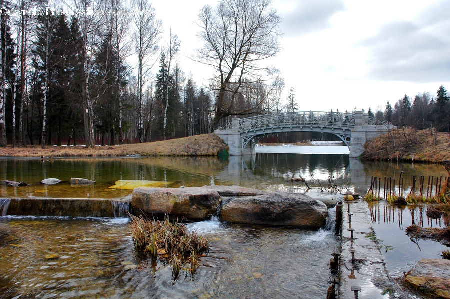 Creek, Outdoors, River, Water, Land, Marsh, Pond