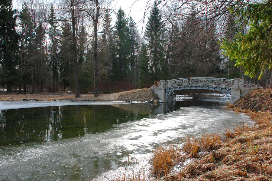 Bridge, Flood, Outdoors, River, Water, Creek, Land