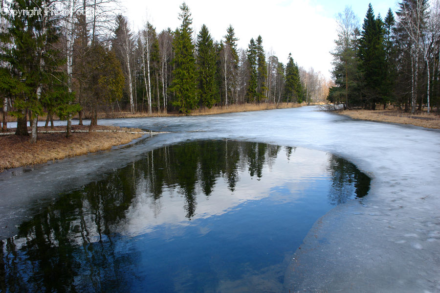 Outdoors, Pond, Water, Forest, Vegetation, River